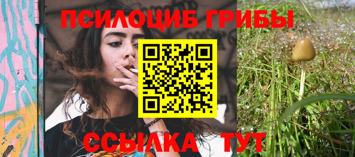Галлюциногенные грибы Magic Shrooms Дзержинск